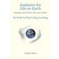 Guidance for Life on Earth: Teachings and Practices from Inner Guides - The World You Wish To Bring Into Being - Paperback