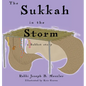 The Sukkah in the Storm: A Sukkot Story - Hardcover