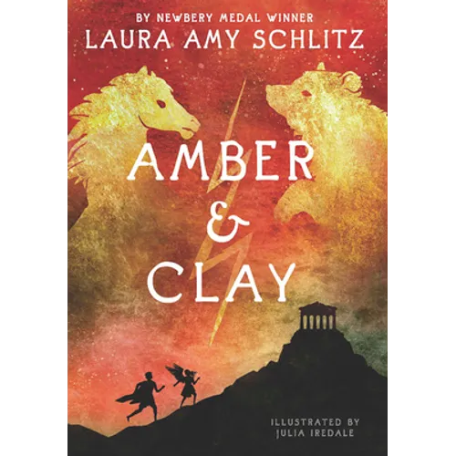 Amber and Clay - Library Binding