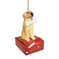 Golden Retriever with Bone Ornament