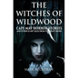The Witches of Wildwood: Cape May Horror Stories and Other Scary Tales from the Jersey Shore - Paperback