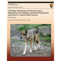Vital Signs Monitoring of Wolf (Canis lupus) Distribution and Abundance in Denali National Park and Preserve, Central Alaska Network: 2011 Report - Paperback