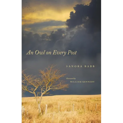 An Owl on Every Post - Paperback