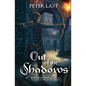 Out of the Shadows: Shadow for Hire - Paperback
