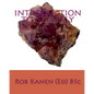 Introduction to Geology - Paperback