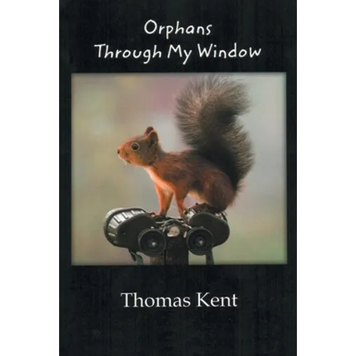 Orphans through My Window - Paperback