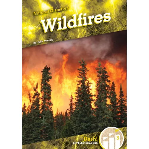 Wildfires - Library Binding