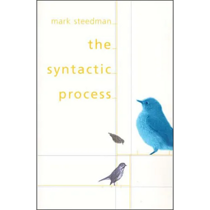 The Syntactic Process - Paperback