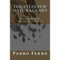 The Vital Few Natural Laws: Powering the 80/20 Methodology in Business - Paperback