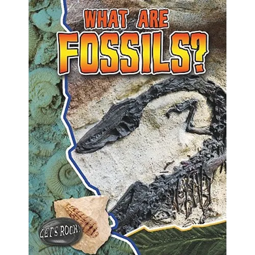 What Are Fossils? - Paperback