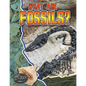 What Are Fossils? - Paperback