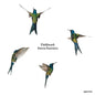 Sanna Kannisto: Fieldwork (Signed Edition) - Hardcover