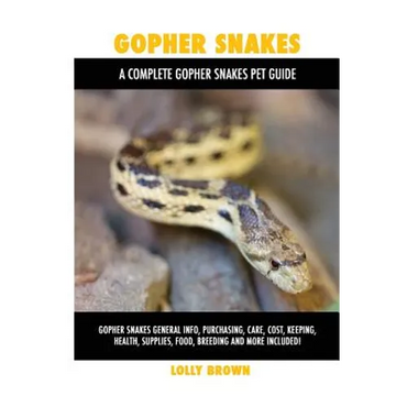Gopher Snakes: Gopher Snakes General Info, Purchasing, Care, Cost, Keeping, Health, Supplies, Food, Breeding and More Included! A Com - Paperback