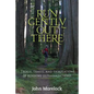 Run Gently Out There: Trials, trails, and tribulations of running ultramarathons - Paperback