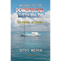 Moving to the Dominican Republic: The Paradox of Paradise - Paperback