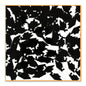 Black Grad Caps Confetti