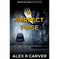 A Perfect Pose - Paperback