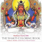 The Shakti Coloring Book: Goddesses, Mandalas, and the Power of Sacred Geometry - Spiral