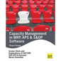 Capacity Management in MRP, APS & S&OP Software - Paperback