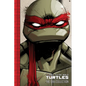 Teenage Mutant Ninja Turtles: The IDW Collection Volume 1 - Paperback