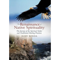The Renaissance of Native Spirituality: The Journey of the Spiritual Seeker and Traditional Healing Practices - Hardcover
