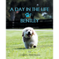 A Day in the Life of Bentley - Paperback