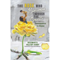 The Rose Who Blossomed Through the Concrete: Consequence vs Choice - Paperback