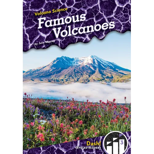 Famous Volcanoes - Library Binding