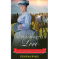 The Possibility of Love - Paperback