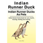 Indian Runner Duck. Indian Runner Ducks As Pets. Indian Runner Ducks book for care, health, housing, feeding and training. - Paperback