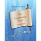 The Progressive Torah: Level One Genesis: Color Edition - Paperback