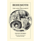 Behemoth or the Long Parliament - Paperback