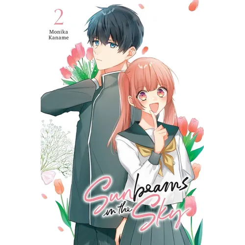 Sunbeams in the Sky, Vol. 2 - Paperback