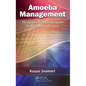 Amoeba Management: The Dynamic Management System for Rapid Market Response - Hardcover