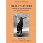 Healing Power: Ten Steps to Pain Management and Spiritual Evolution Revised: Introducing the Universal Healing Wheel - Hardcover