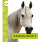 Arabian Horses - Library Binding