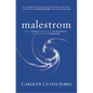 Malestrom: Manhood Swept Into the Currents of a Changing World - Hardcover