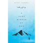 A Rare Mirror of God - Paperback