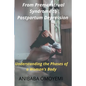 From Premenstrual Syndrome to Postpartum Depression: Understanding the Phases of a Woman's Body - Paperback