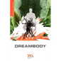 Dreambody: The Body's Role in Healing the Self - Paperback