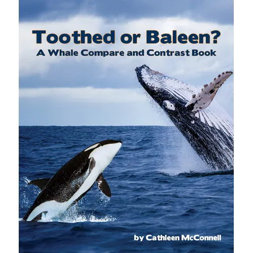 Toothed or Baleen? a Whale Compare and Contrast Book - Paperback