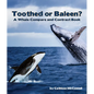Toothed or Baleen? a Whale Compare and Contrast Book - Paperback