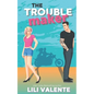 The Troublemaker - Paperback
