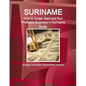 Suriname: How to Invest, Start and Run Profitable Business in Suriname Guide - Strategic Information, Opportunities, Contacts - Paperback