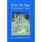 Jesus the Sage Paper Edition - Paperback