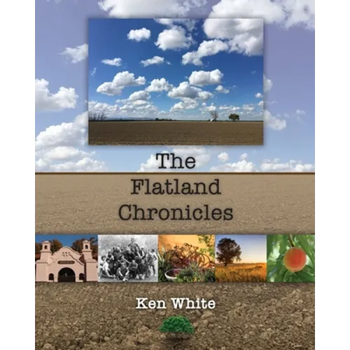 The Flatland Chronicles - Paperback