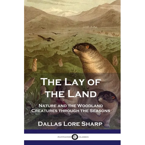 The Lay of the Land: Nature and the Woodland Creatures through the Seasons - Paperback