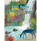 Agua, Aguita / Water, Little Water - Hardcover