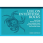 Life on Intertidal Rocks: Identifying Marine Life of the North Atlantic Coast, Including Tidepools and the Intertidal Zones - Paperback