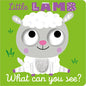 Little Lamb What Can You See? - Board Book